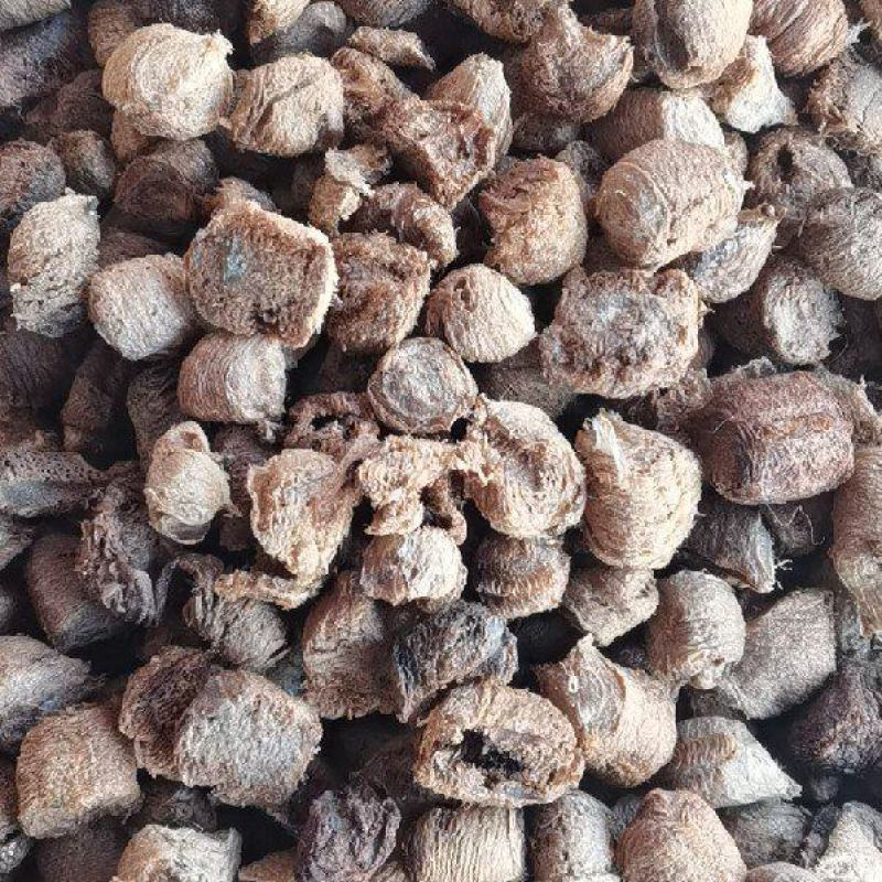 熟桑螵蛸桑螵蛸中药生桑螵蛸螳螂蛋可打粉自产自销按方抓药
