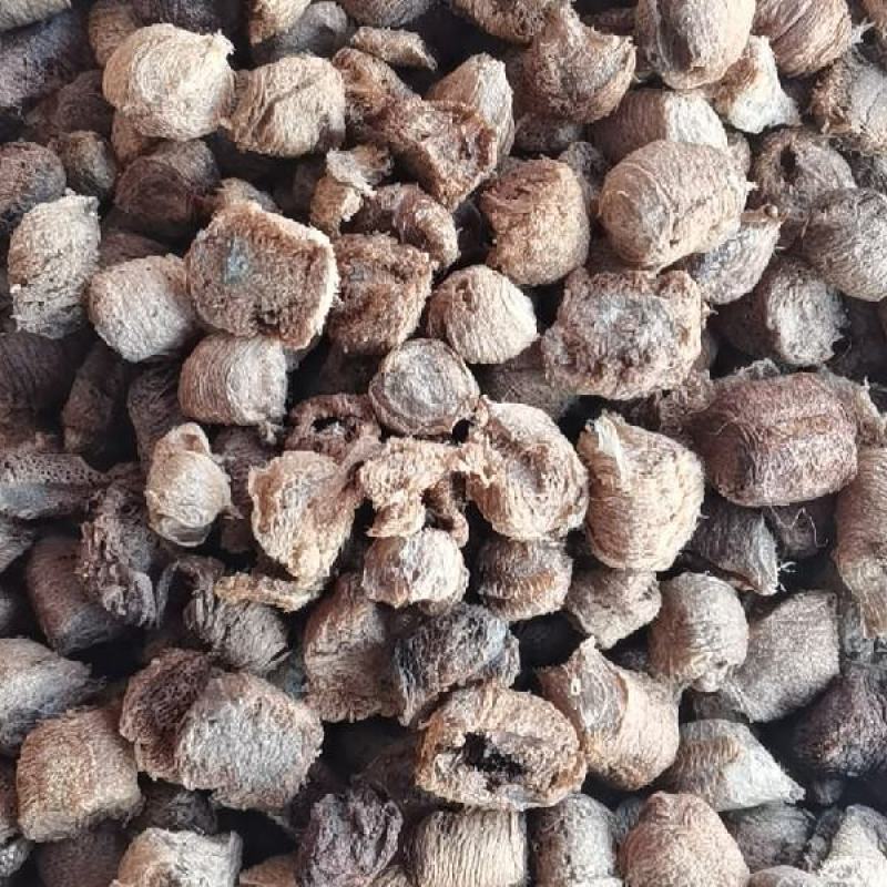 熟桑螵蛸桑螵蛸中药生桑螵蛸螳螂蛋可打粉自产自销按方抓药