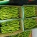 辽宁海城精品螺丝椒大量上市