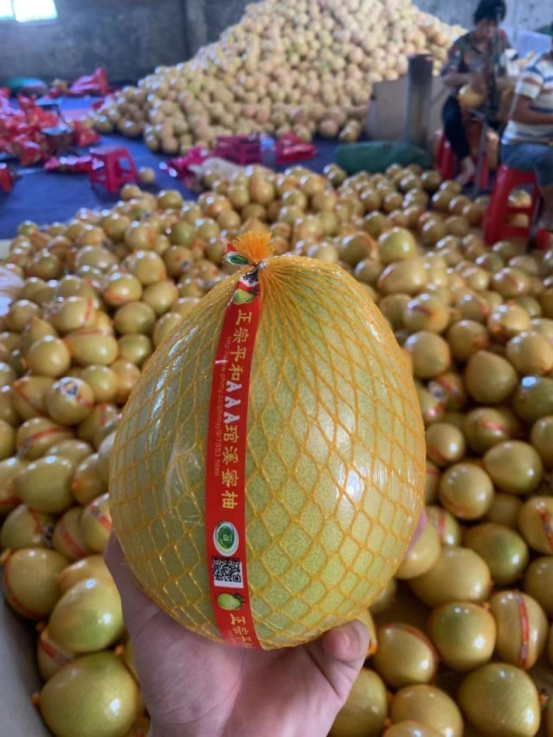 红心柚白心蜜柚大量上市诚信经营质量有保障
