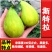 无花果苗，地栽盆栽都可以，南北方都可以种植，耐寒，基地直