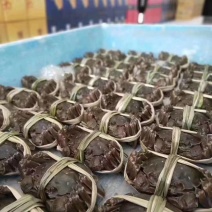小龙虾大闸蟹