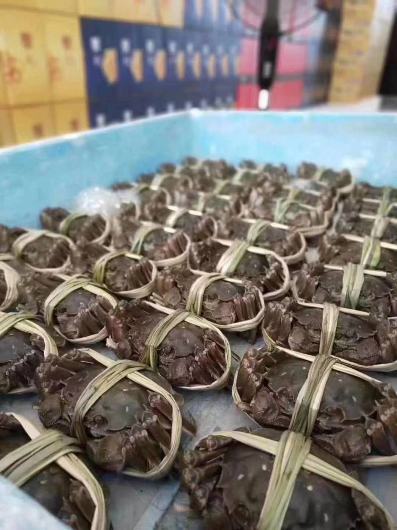小龙虾大闸蟹