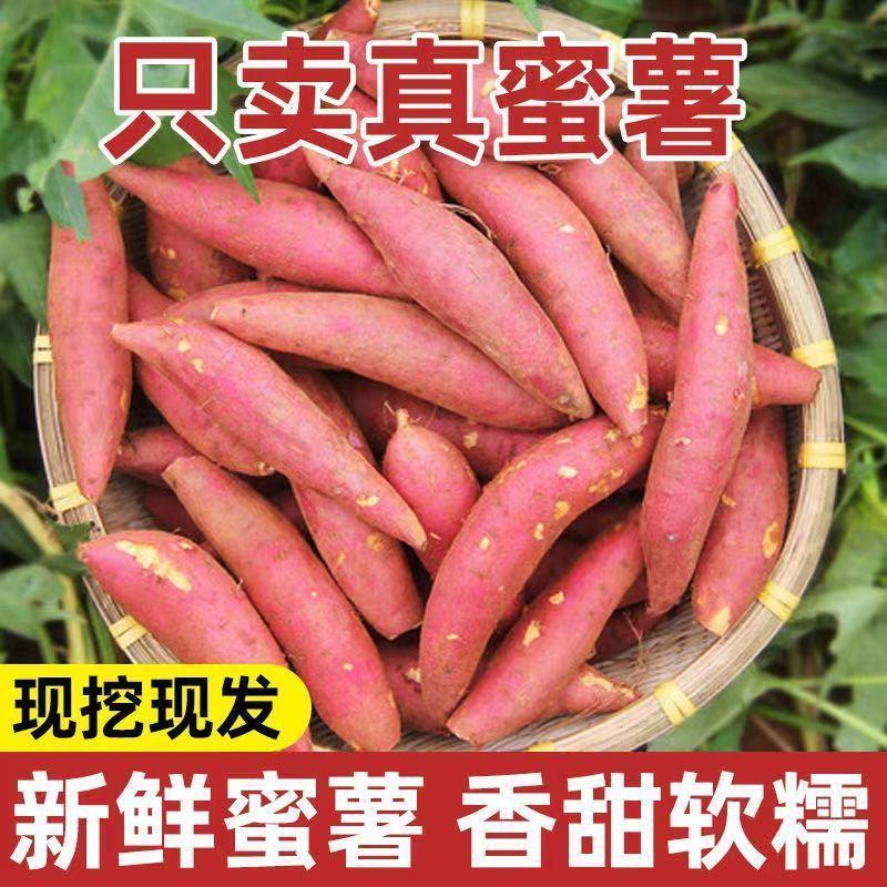 烟薯25蜜薯烤红薯烤块电商代发市场加工厂济薯紫薯西瓜红