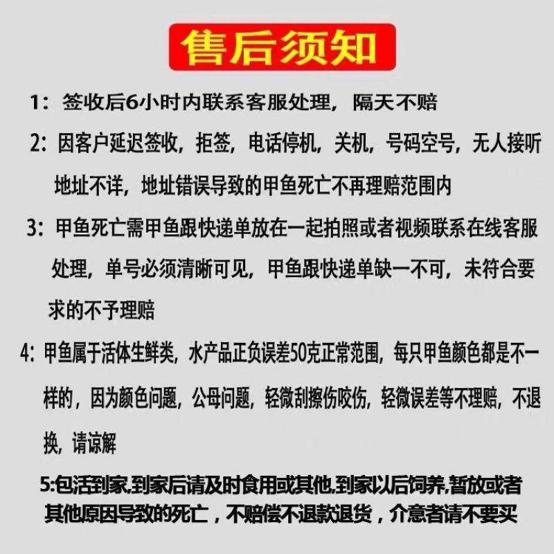 水鱼甲鱼鲜活包邮海鲜水产品生态放养王八鱼火锅食材2斤左右