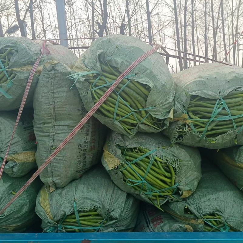 鲜辣椒薄皮辣椒线椒陇椒货源稳定货源充足量大