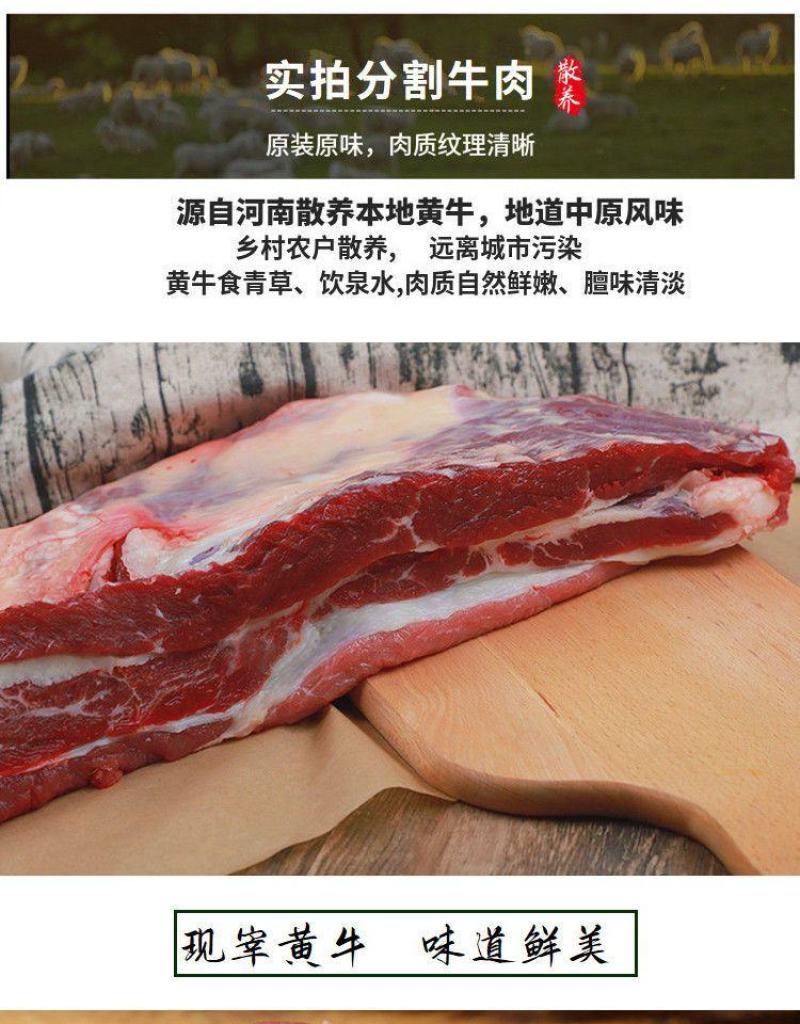 国产原切4斤新鲜速冻黄牛腩肉黄牛肉农家散养包邮