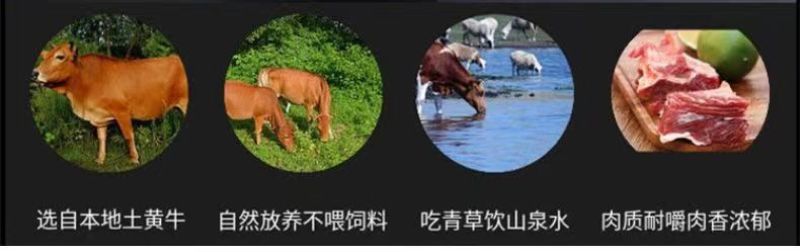 新鲜速冻4斤原切黄牛排骨牛脖骨牛窝骨燕翅骨包邮