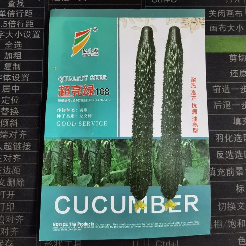 超亮168耐热黄瓜种子绿瓤长黄瓜种籽春夏秋季耐热密刺大田