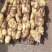 热销鄂莲6号精品莲藕结实饱满，色泽均匀白净，可炒可炖，