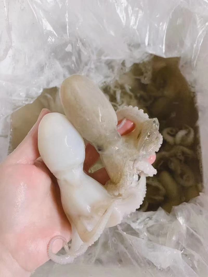 冰鲜水产