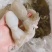 冰鲜水产
