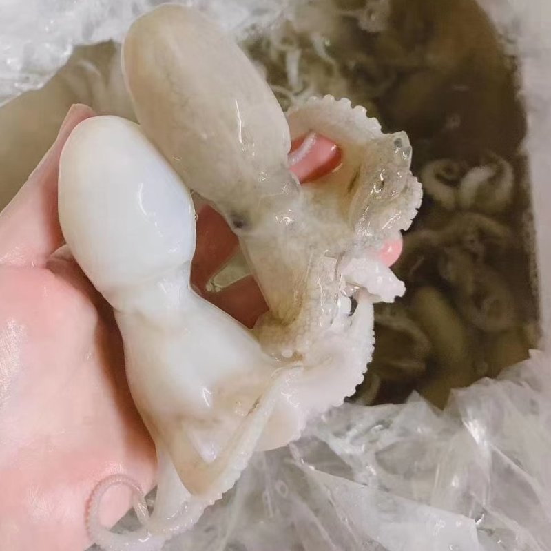 冰鲜水产