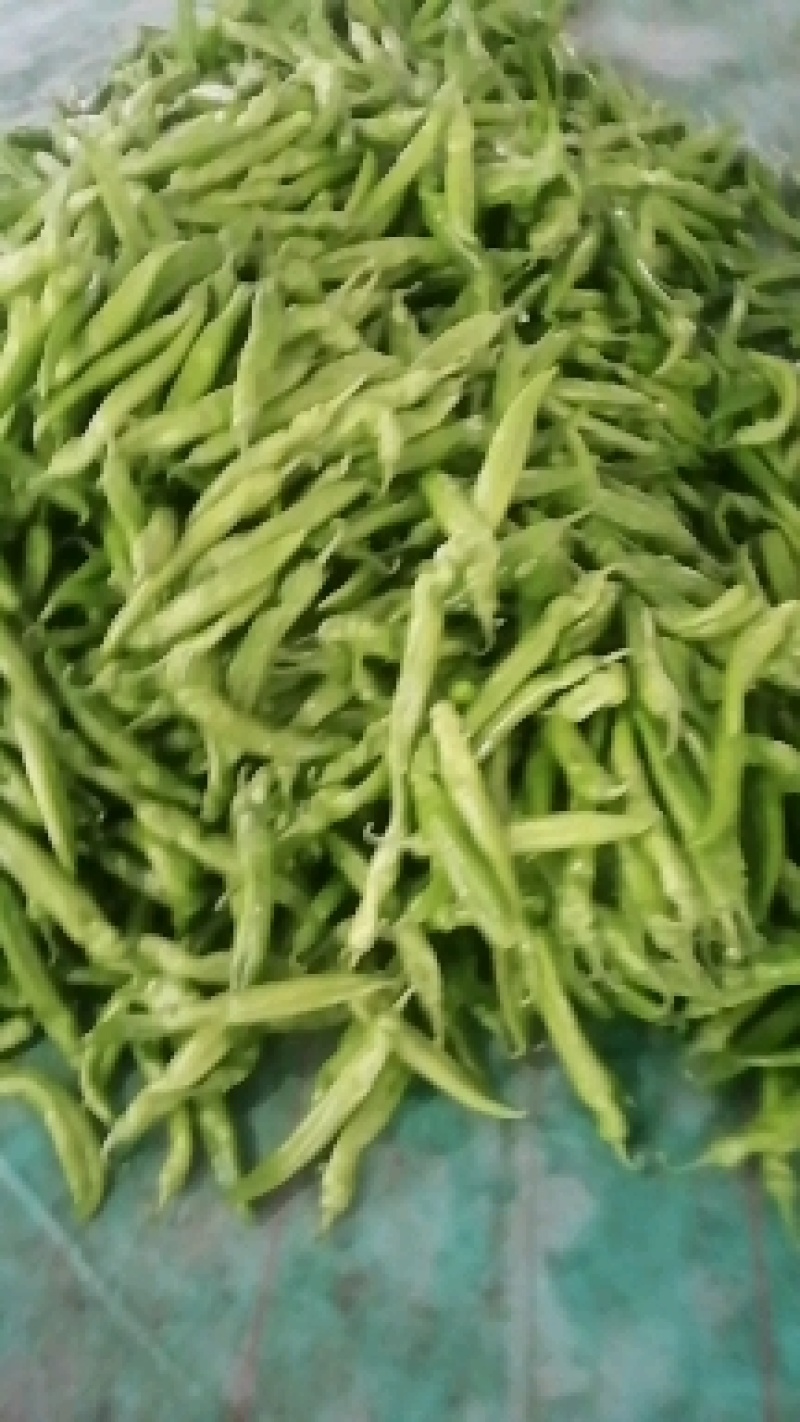 山东青州尖椒刚上市线椒，圆椒，龙椒，辣妹子，麻辣。各种辣