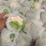 精品菜花一手货源