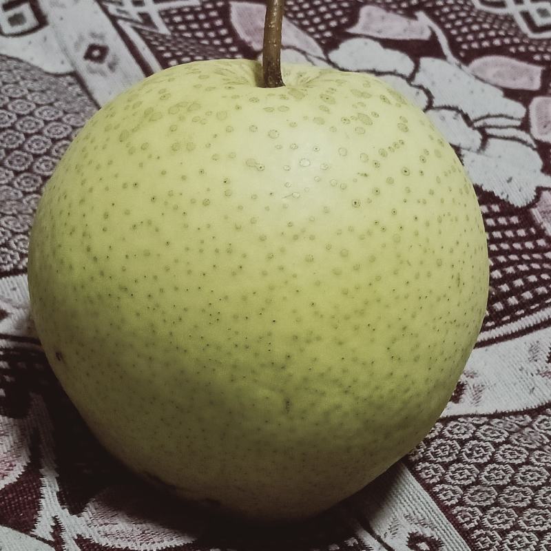 代州酥梨核小，皮薄馅大，水分十足，口感很好，甜度达到14