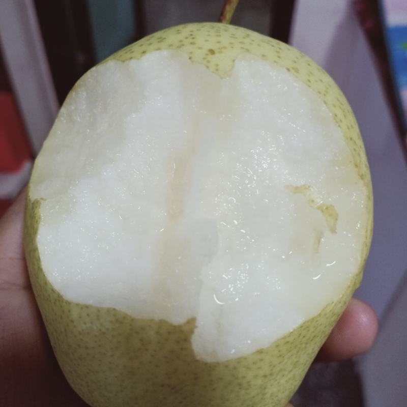代州酥梨，雪梨，各种香梨，皮薄肉大，水分十足，香甜可口