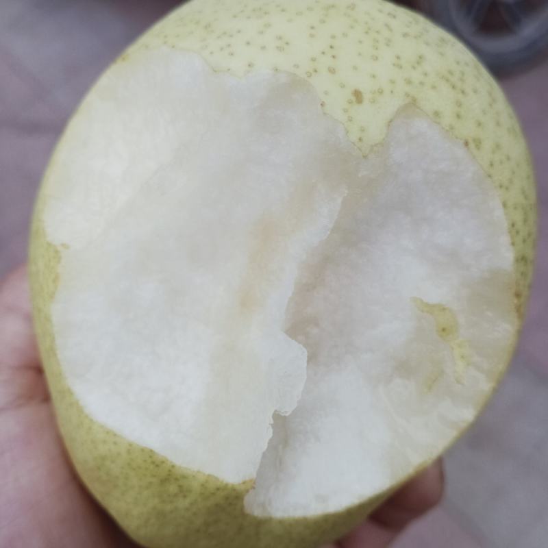 代州酥梨，雪梨，各种香梨，皮薄肉大，水分十足，香甜可口