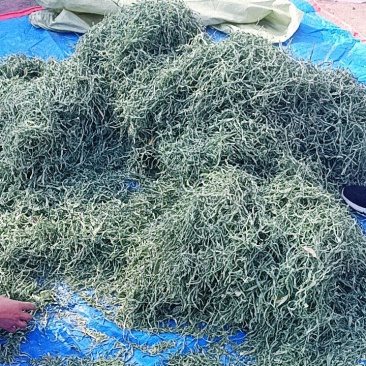 豆角丝，干豆角