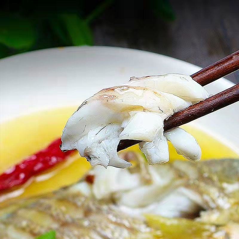 东海大黄花鱼