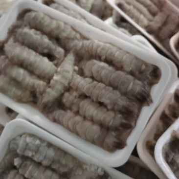 生剥爬虾肉（虾虎肉，皮皮虾肉）