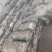 红薯粉条