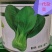 杜绝假货青梗菜种子油菜籽阳台盆栽蔬菜种子菜籽大田用种包邮