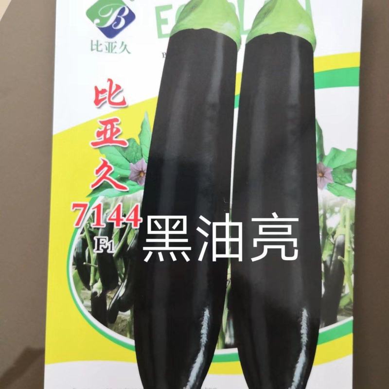 比亚久7144黑亮长茄种子顺直萼片绿连坐果能力强商品性强