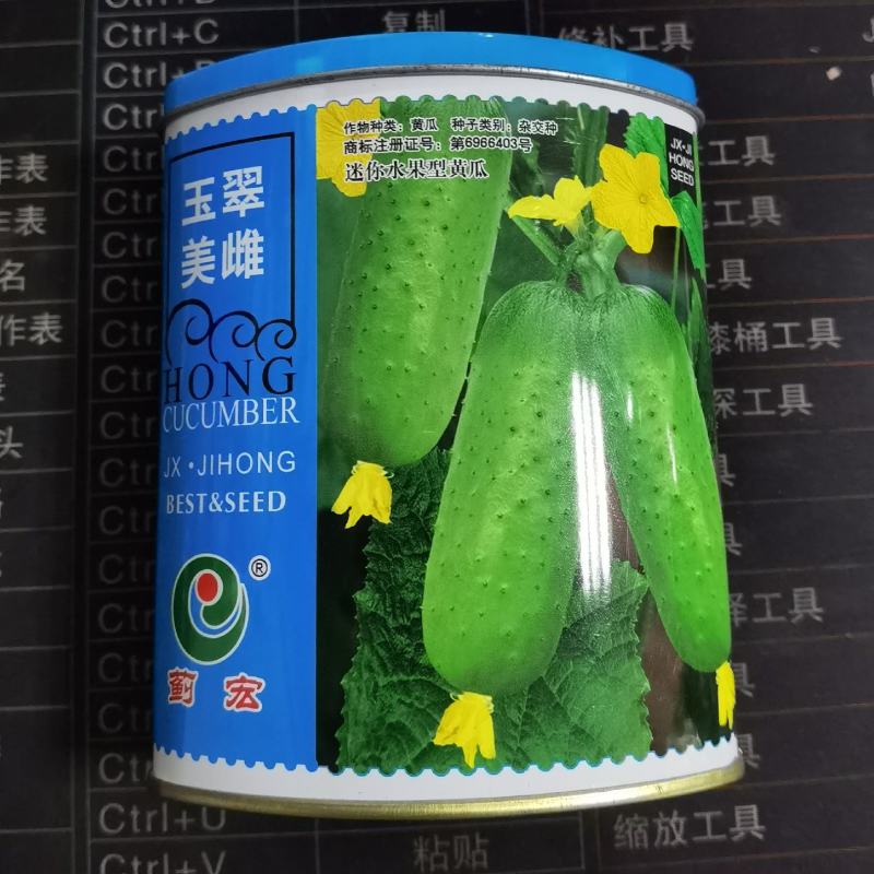 基地优质罐装水果黄瓜种子春夏秋玉翠美雌油亮高产秋黄瓜