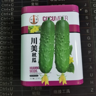蔬菜基地优质水果旱黄瓜种子春夏秋川美油亮秋黄瓜罐装