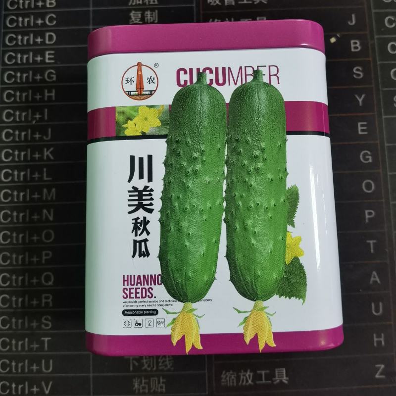 蔬菜基地优质水果旱黄瓜种子春夏秋川美油亮秋黄瓜罐装