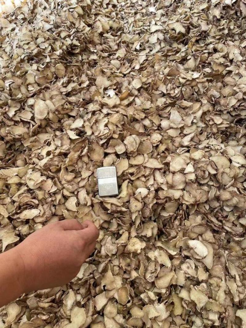 白芨干片