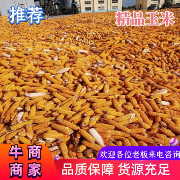 玉米棒山东玉米棒红轴白轴玉米棒湿玉米粒玉米粒