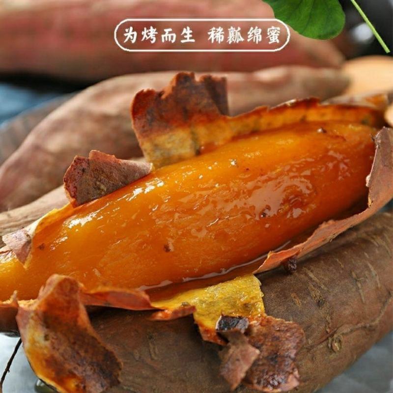 山东烟薯25号蜜薯糖心流油蜜薯烤地瓜用红薯