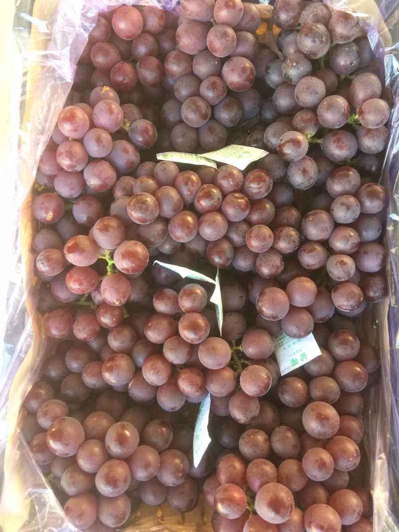 冷库储藏巨峰葡萄大量出售，串大颗粒大，一手货源