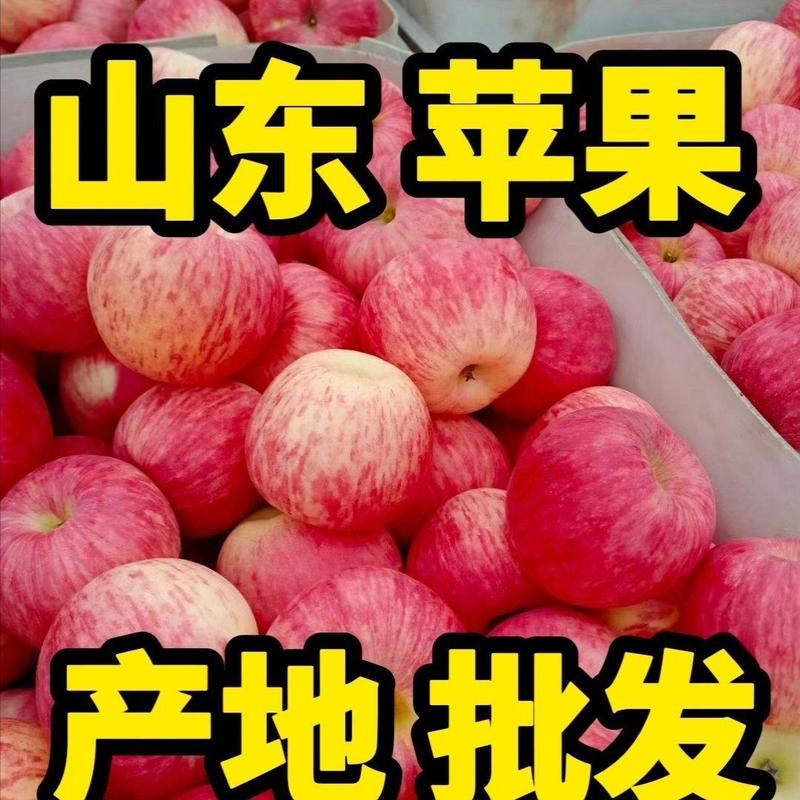热推【精品水晶红富士苹果】一手货源对接商超市场代收代发