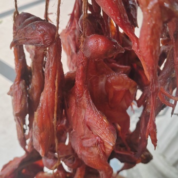 烟熏鹌鹑厂家供应，品质保证，货源充足！！！