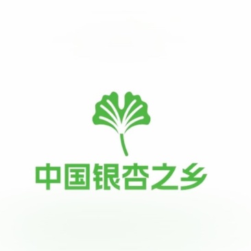 山东银杏热卖25-40公分政府征地还耕30公分1200元