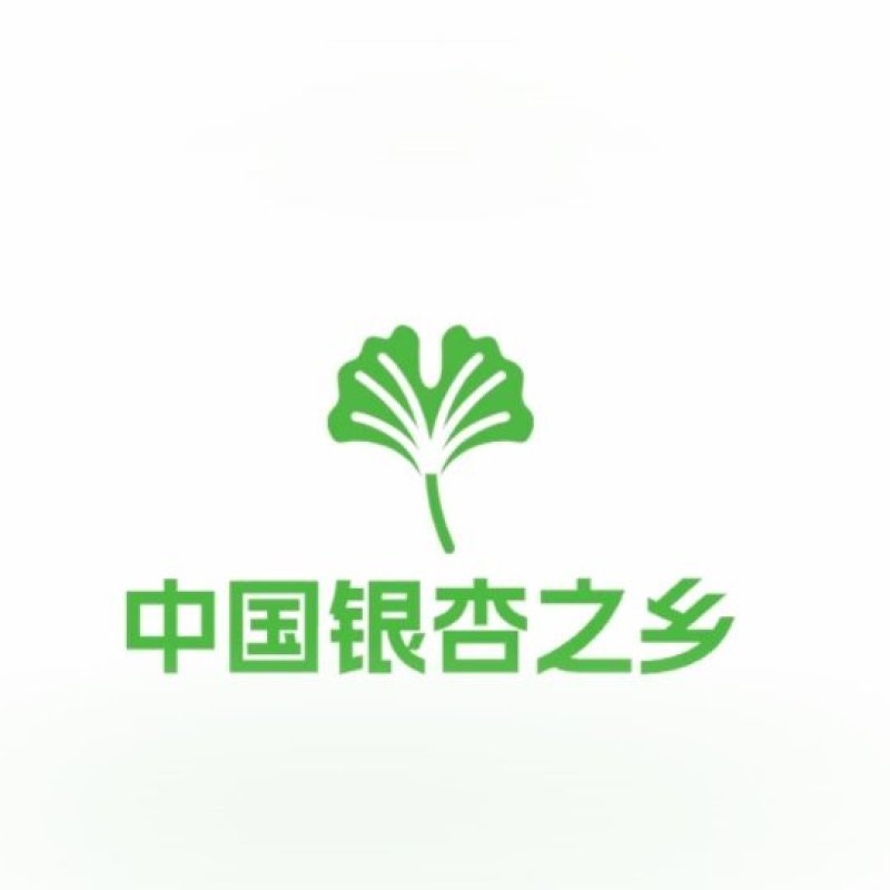 山东银杏热卖25-40公分政府征地还耕30公分1200元