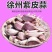 红根蒜苗种子寒蒜川蒜二月早产地现货量大价优