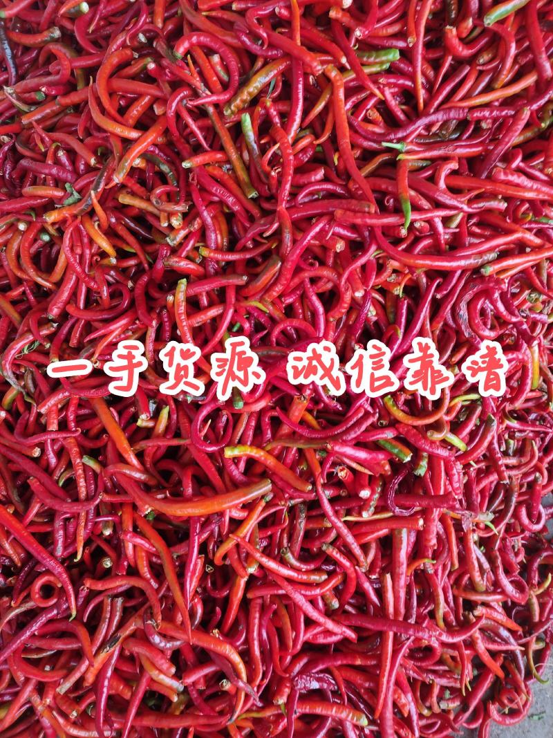 加工厂红线椒，剁椒打酱腌椒泡椒烘干用，可人工剪把去帽