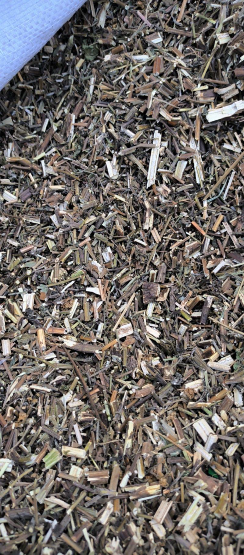荆芥中药材批发荆芥质量保证量大从优