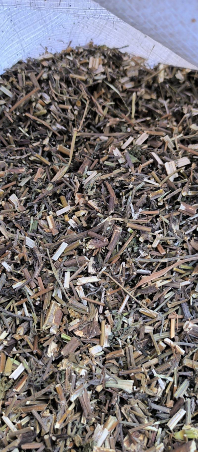 荆芥中药材批发荆芥质量保证量大从优
