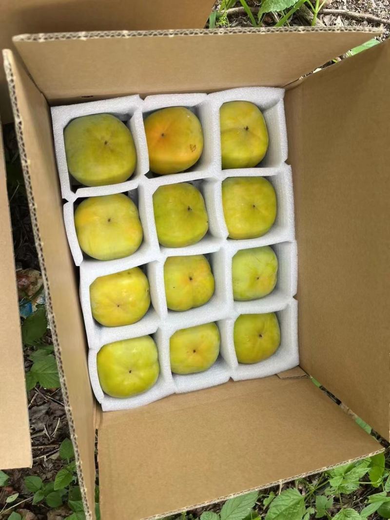 脆柿支持一件代发批发