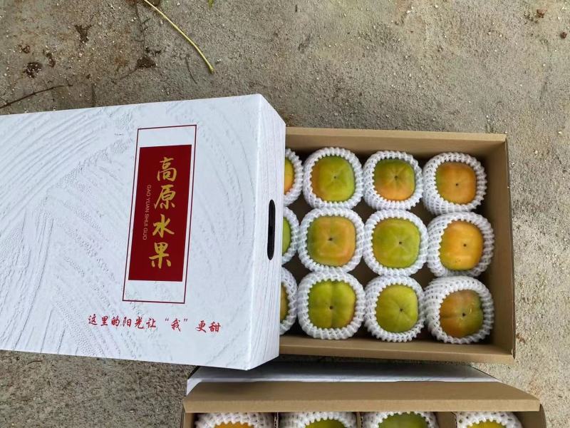脆柿支持一件代发批发