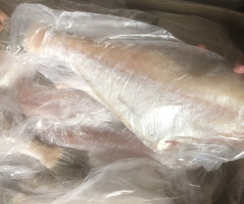 三去马面鱼剥皮鱼耗儿鱼批发马面鱼大马面鱼