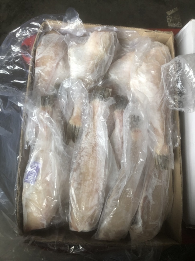 三去马面鱼剥皮鱼耗儿鱼批发马面鱼大马面鱼