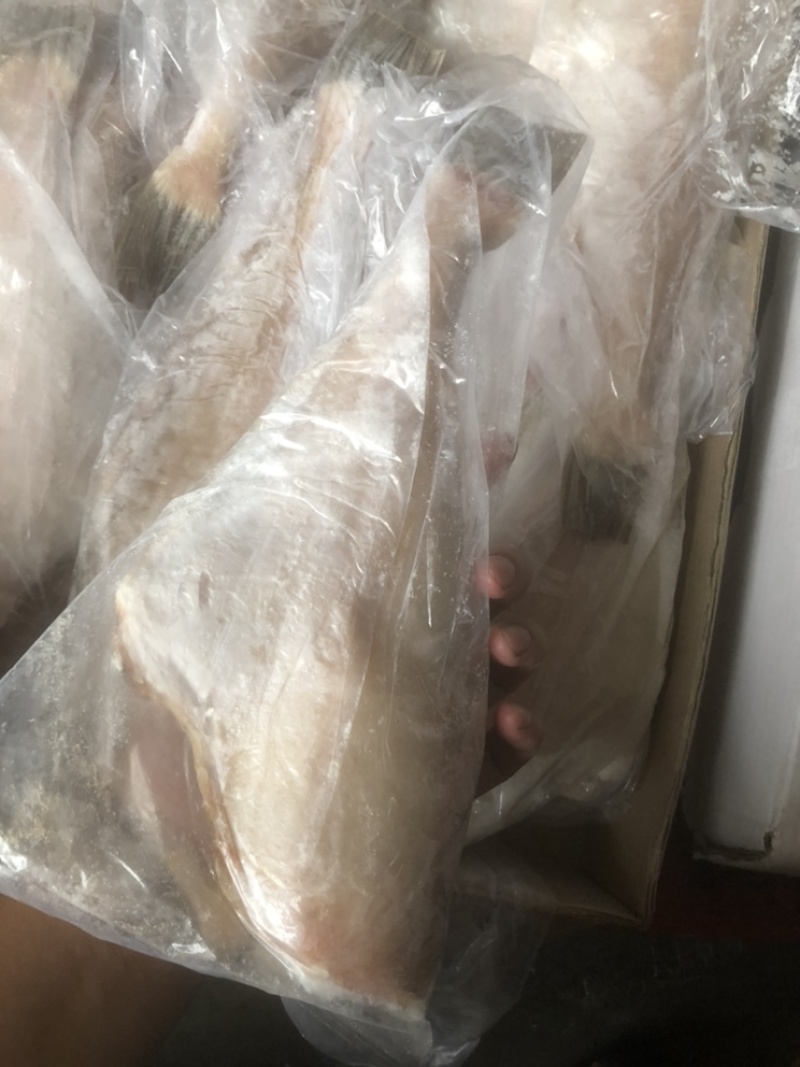三去马面鱼剥皮鱼耗儿鱼批发马面鱼大马面鱼
