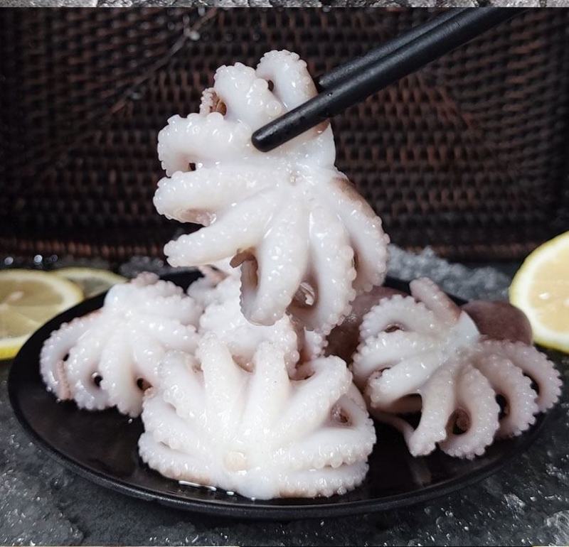 半熟迷你八爪