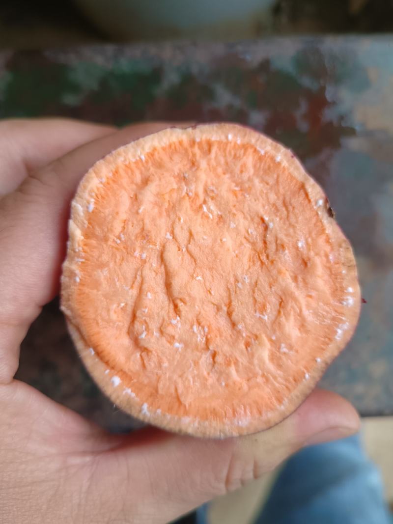 产地大量供应西瓜红蜜薯欢迎各地老板前来合作共赢